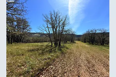 Centerville Hwy Lot3, Lyle, WA 98635 - Photo 19