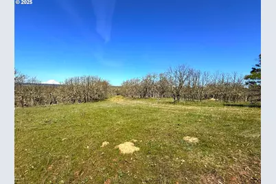 Centerville Hwy Lot3, Lyle, WA 98635 - Photo 7