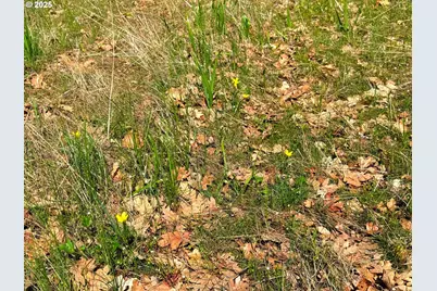 Centerville Hwy Lot3, Lyle, WA 98635 - Photo 25