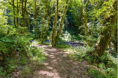 12251 SW East Creek Rd, Willamina, OR 97396 - Photo 21