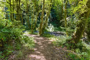12251 SW East Creek Rd, Willamina, OR 97396 - Photo 21