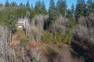 335 Hillsdale Dr, Woodland, WA 98674 - Photo 45