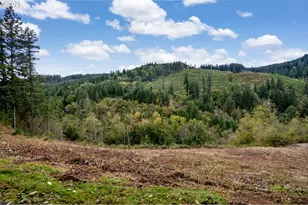 0000 NE 5th St, Washougal, WA 98671 - Photo 19