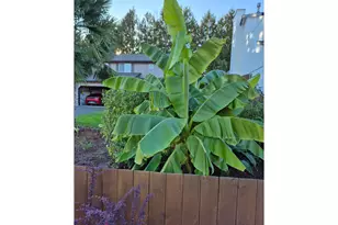 10816 NE 77th Cir, Vancouver, WA 98662 - Photo 37