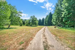20317 Hwy 36, Blachly, OR 97412 - Photo 9