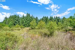 20317 Hwy 36, Blachly, OR 97412 - Photo 41