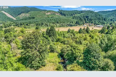 20317 Highway 36, Blachly, OR 97412 - Photo 37
