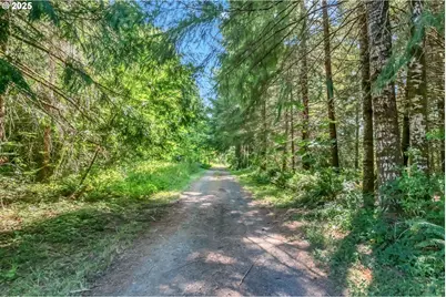 20317 Highway 36, Blachly, OR 97412 - Photo 27