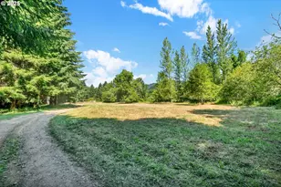 20317 Hwy 36, Blachly, OR 97412 - Photo 43