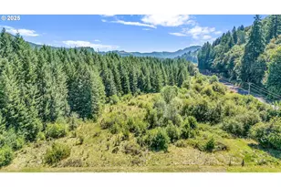 20317 Hwy 36, Blachly, OR 97412 - Photo 39