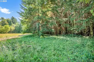 20317 Hwy 36, Blachly, OR 97412 - Photo 23