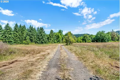 20317 Highway 36, Blachly, OR 97412 - Photo 29