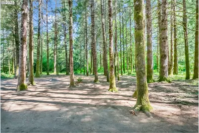 20317 Highway 36, Blachly, OR 97412 - Photo 7