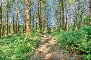 20317 Hwy 36, Blachly, OR 97412 - Photo 19