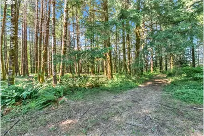 20317 Highway 36, Blachly, OR 97412 - Photo 17