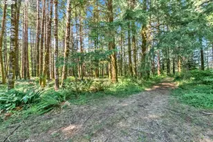 20317 Hwy 36, Blachly, OR 97412 - Photo 17