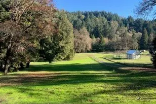 5979 Willis Creek Rd, Winston, OR 97496 - Photo 3