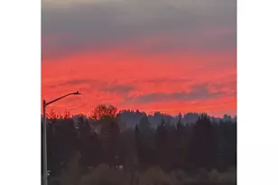 1770 NE Gilbert Ln, Estacada, OR 97023 - Photo 39