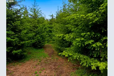 0000 NW Strassel Rd, Forest Grove, OR 97116 - Photo 9