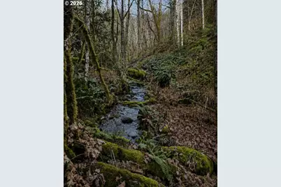 0000 NW Strassel Rd, Forest Grove, OR 97116 - Photo 5