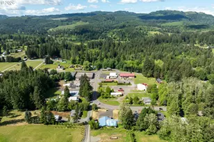 39618 NE 216th Ave, Amboy, WA 98601 - Photo 17