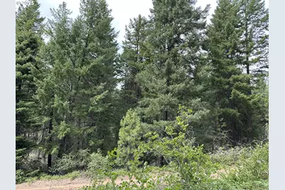 Forest Glen, Goldendale, WA 98620 - Photo 3