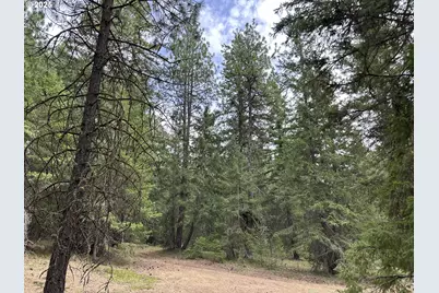 Forest Glen, Goldendale, WA 98620 - Photo 5