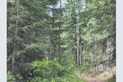 Forest Glen, Goldendale, WA 98620 - Photo 9