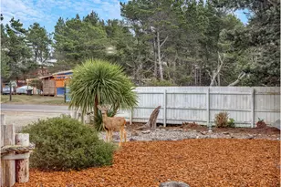 29515 I St, Ocean Park, WA 98640 - Photo 45