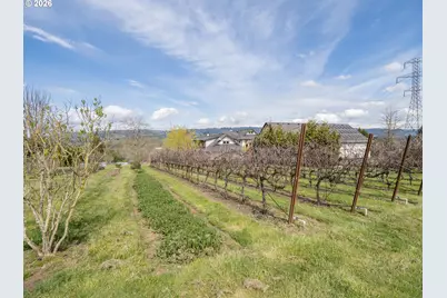 20300 NE Highway 240, Newberg, OR 97132 - Photo 7