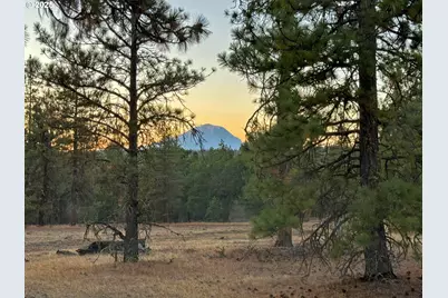 Boardman Way #5, Goldendale, WA 98620 - Photo 29