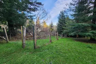 Hensley Hill Rd, Port Orford, OR 97465 - Photo 13