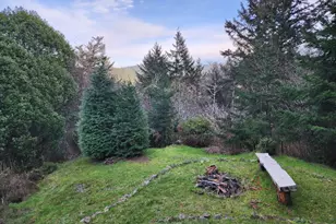 Hensley Hill Rd, Port Orford, OR 97465 - Photo 17