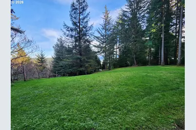 Hensley Hill Rd, Port Orford, OR 97465 - Photo 5