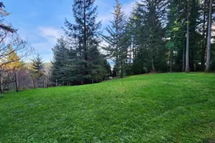 Hensley Hill Rd, Port Orford, OR 97465 - Photo 5
