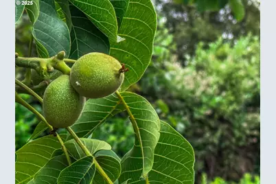 7008 SE 302nd Ave, Gresham, OR 97080 - Photo 17