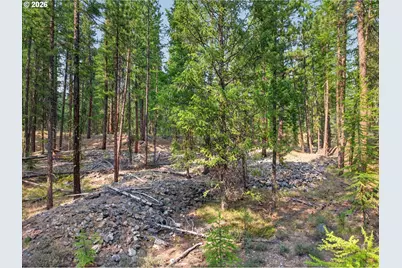 105 E Mt View Estate, Sumpter, OR 97877 - Photo 15