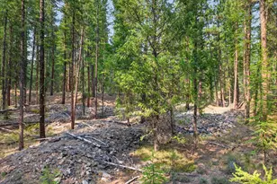 105 E Mt View Estate, Sumpter, OR 97877 - Photo 15