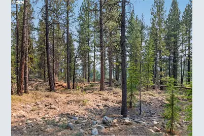 105 E Mt View Estate, Sumpter, OR 97877 - Photo 25