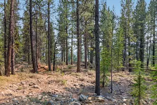 105 E Mt View Estate, Sumpter, OR 97877 - Photo 25