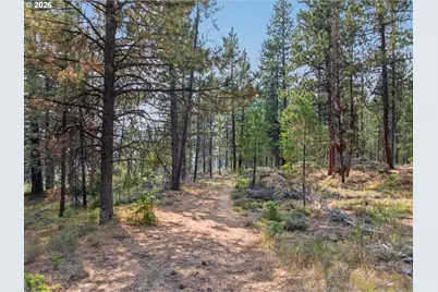 105 E Mt View Estate, Sumpter, OR 97877 - Photo 11