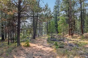 105 E Mt View Estate, Sumpter, OR 97877 - Photo 11