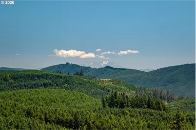 86407 Homestead Rd, Springfield, OR 97478 - Photo 45