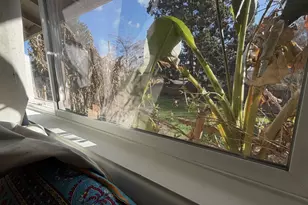 3908 Gifford Pl, Washougal, WA 98671 - Photo 17