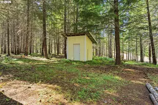 160 Wheeler Ln, Camas Valley, OR 97416 - Photo 37