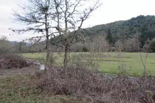 4359 Canyonville-Riddle Rd, Riddle, OR 97469 - Photo 27