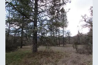 4359 Canyonville Riddle Rd, Riddle, OR 97469 - Photo 19