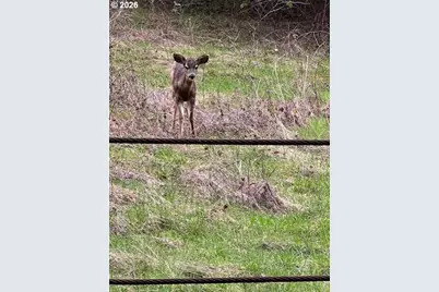 Deer Ct, Banks, OR 97106 - Photo 11