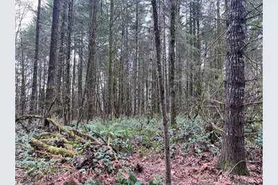 Deer Ct, Banks, OR 97106 - Photo 21