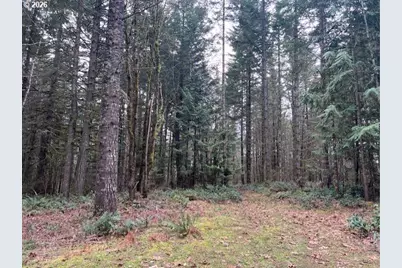 Deer Ct, Banks, OR 97106 - Photo 9